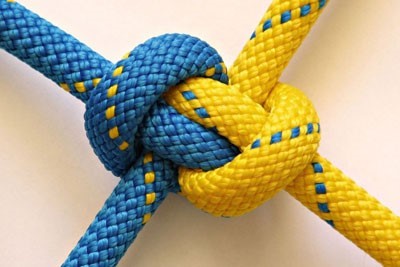 Пропозиції щодо персонального складу координаційної ради