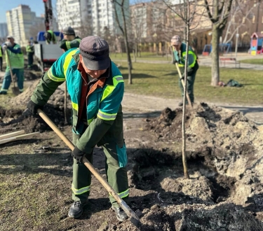Районні зеленбудівці продовжують висаджувати дерева на балансових територіях