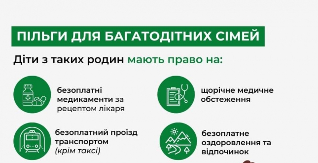Українські родини, які виховують трьох та більше дітей, можуть отримати статус багатодітних сімей