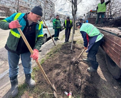 Районні зеленбудівці продовжують висаджувати дерева та кущі на балансових територіях